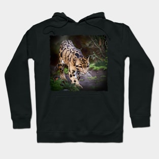 Asian Clouded Leopard Hoodie